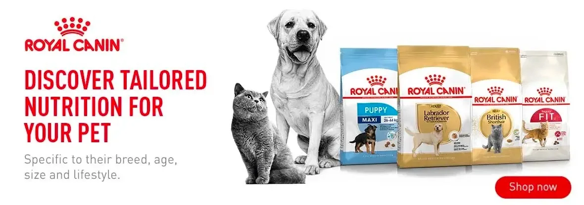 oyal canin7.jpeg