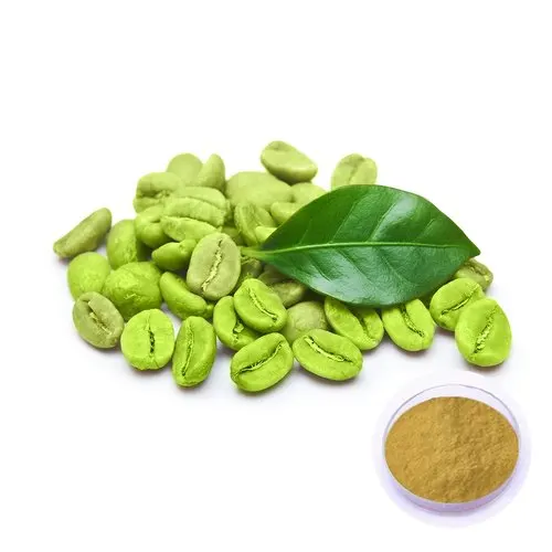 Factory Supply Green Coffee Bean Extract Powder Chlorogenic Acid Green Coffee Bean Extract
