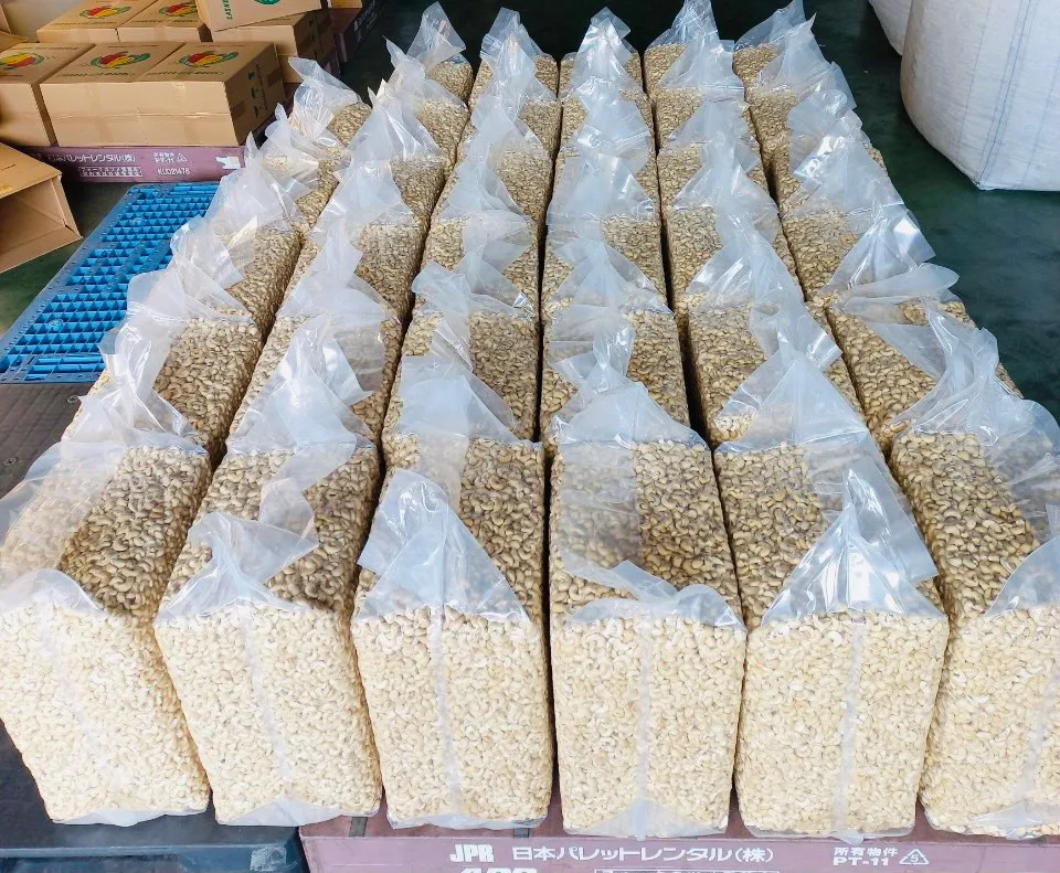 cashew milk and bakery Best Option Cashew nut kernels w240 w320 w450, High Quality Newest Crop 2022