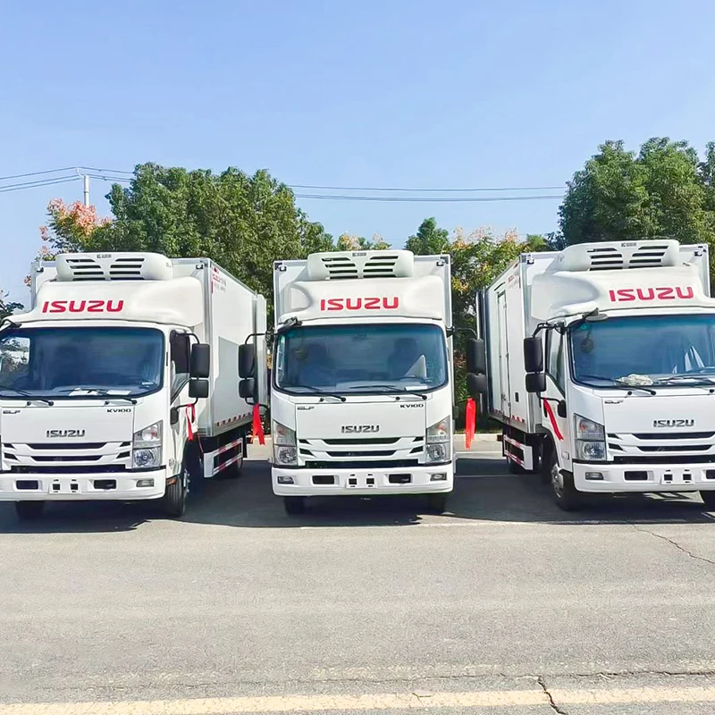 Isuzu refrigerated truck 10 tons refrigerator truck meat transport refrigerated truck