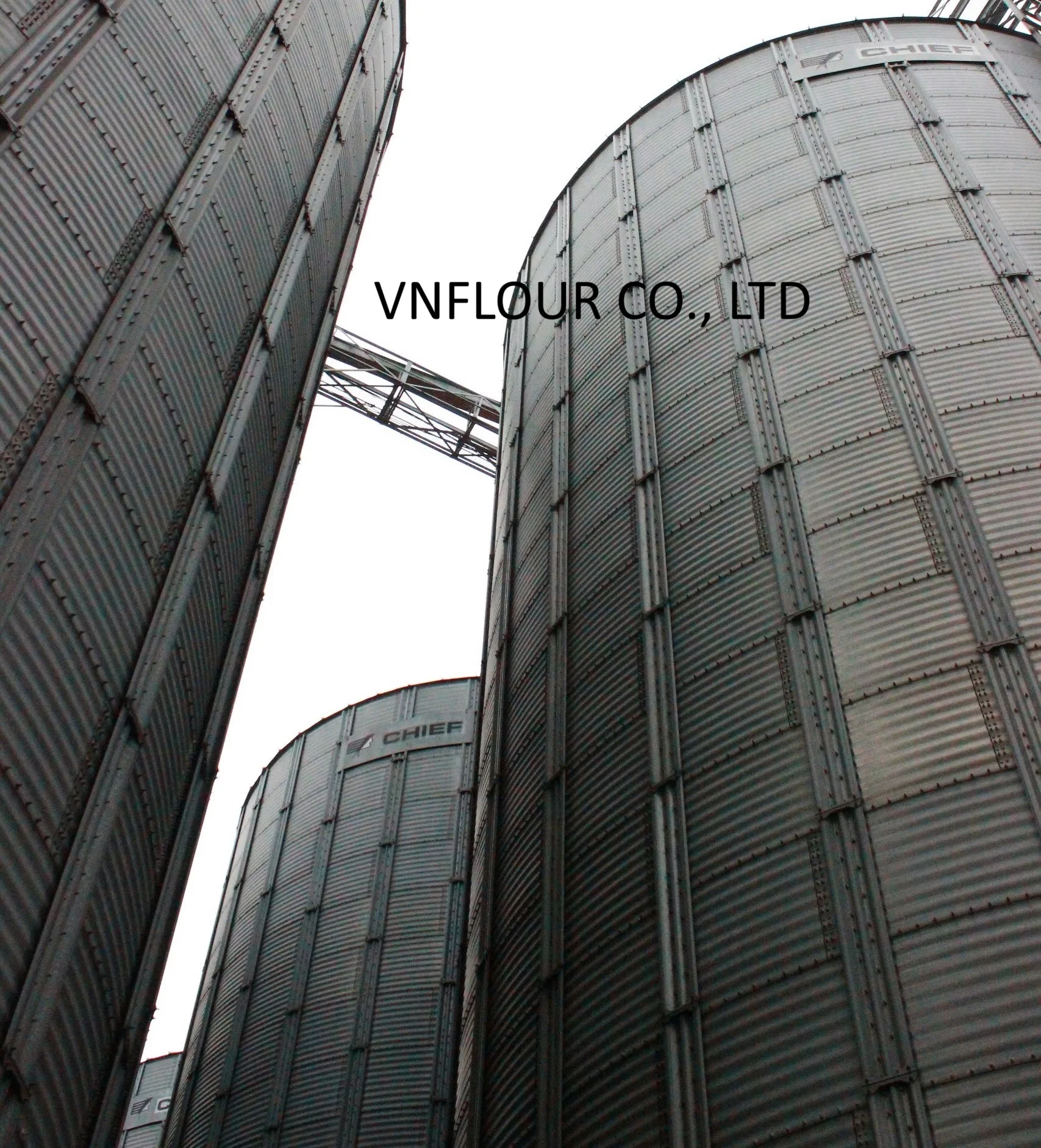High Quality Wheat Flour, First Grade flour