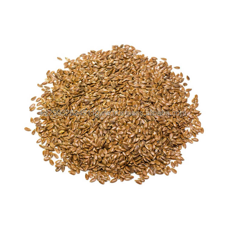 Natural enriched grains Oil flax seeds for organic essential best selling product 2022 wholesale