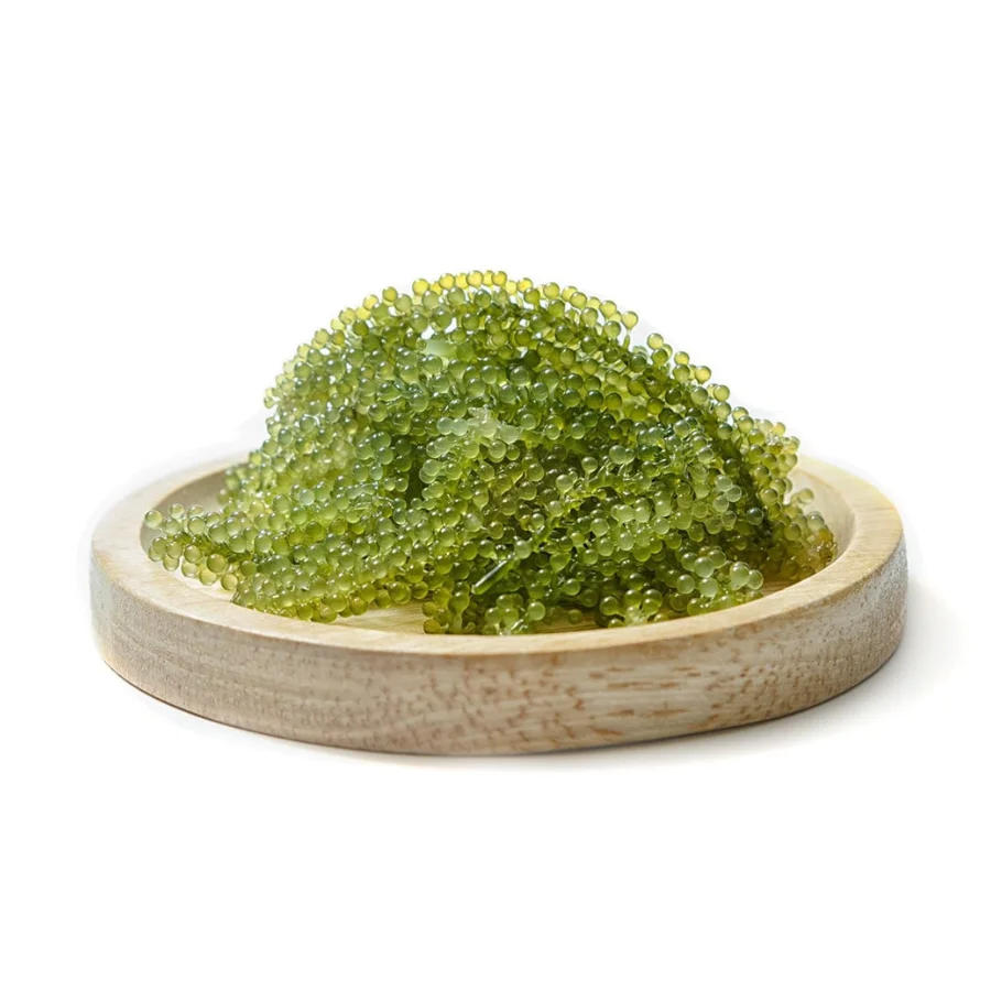 Sea Grape Caulerpa Lentillifera: A Superfood from the Sea That Can Transform Your Health
