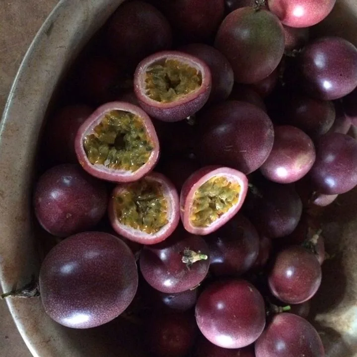 Supplying frozen passion fruit seed seedless puree from Vietnam with best price Ms Sophie