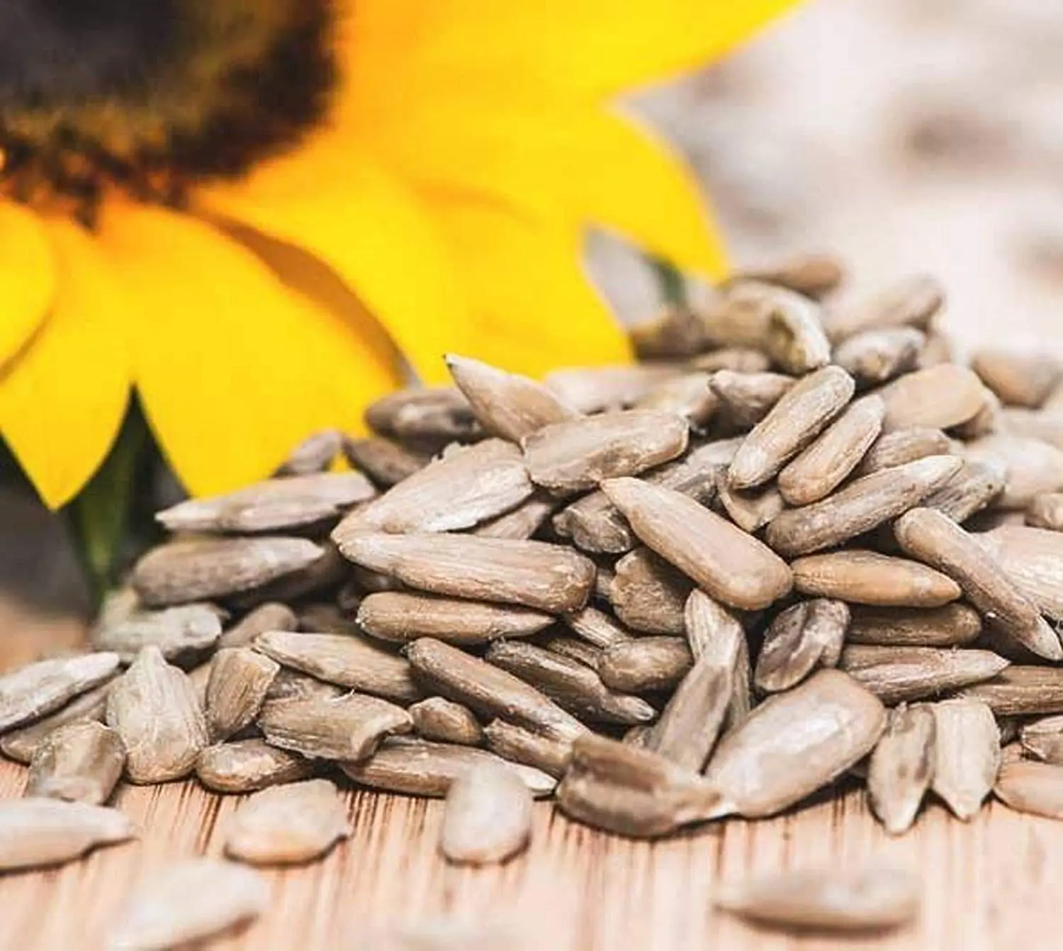 Sunflower Kernels