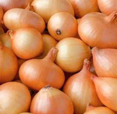 Premium Quality Yellow Onion New Crop Egypt Fresh Golden Onions Cheap Price Natural Healthy yellow onions Wholesale