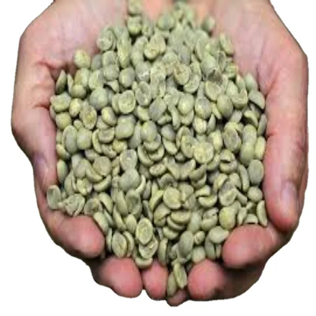 Green Coffee Beans in Bulk Wholesale Coffee Suppliers Organic Green Coffee