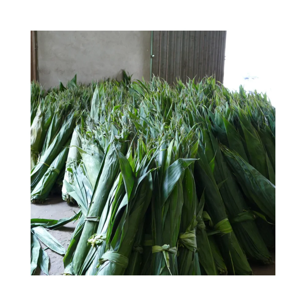 Экспортируемый бамбуковый лист из Вьетнама по хорошей цене | Бамбуковый для изготовления торта