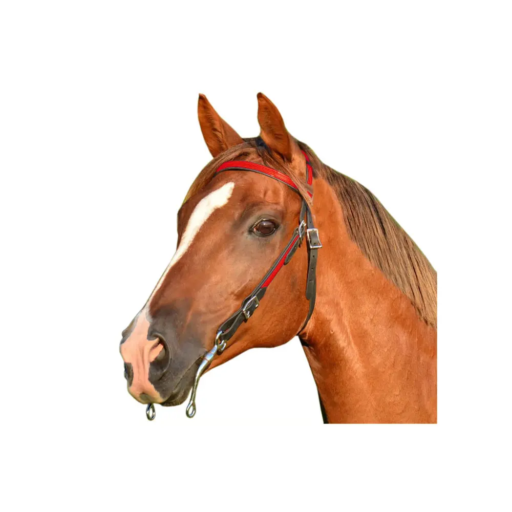 Оптовая продажа конная английская лошадь биотановая уздечка натуральная кожа несколько цветов индивидуальная фурнитура