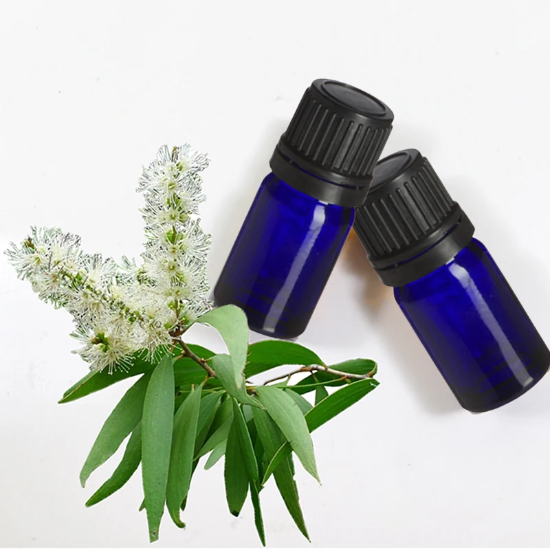 Cajeput Essential Oil with Organic Certificate Factory supply wholesale Essential Oils at best price with Quality certificate