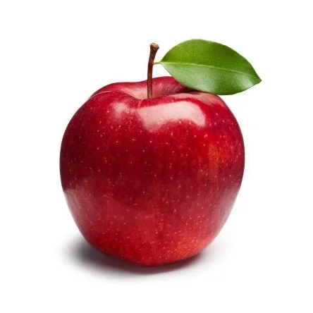 Wholesale Dealer and Supplier Of Fresh Apples | Red fresh apples Best Quality Best Factory Price Bulk Buy Online