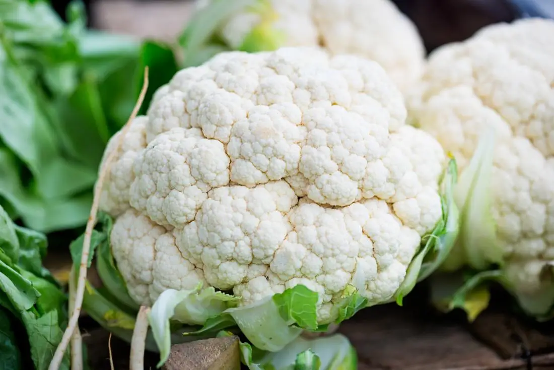 Natural fresh cauliflower new crop white cauliflower good quality and low cheap price vegetables