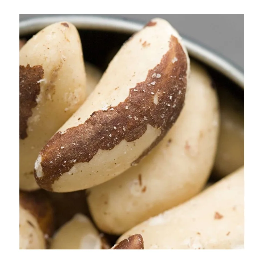 Wholesale Price Raw and Roasted Cheap Price Brazil Nuts