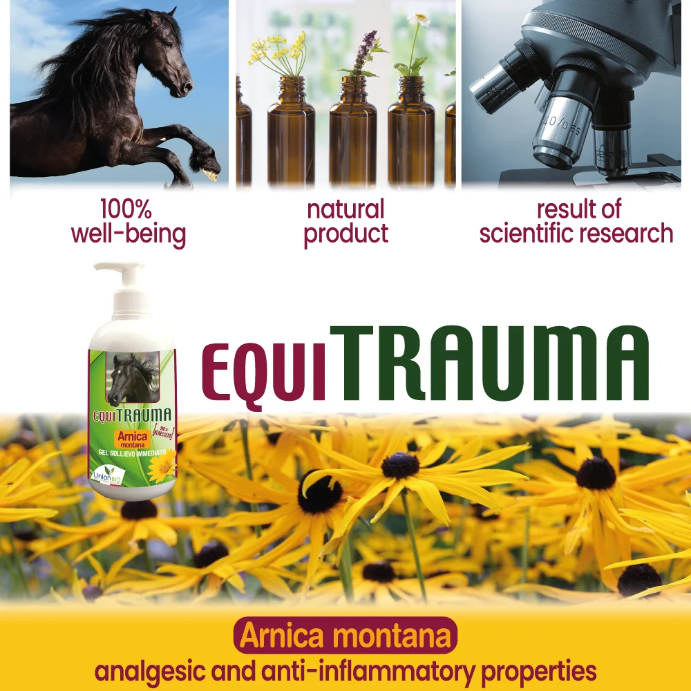 Top quality made in Italy plant based formulation EQUITRAUMA natural gel with arnica for horses