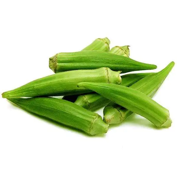 Premium grade Fresh Lady Finger Okra