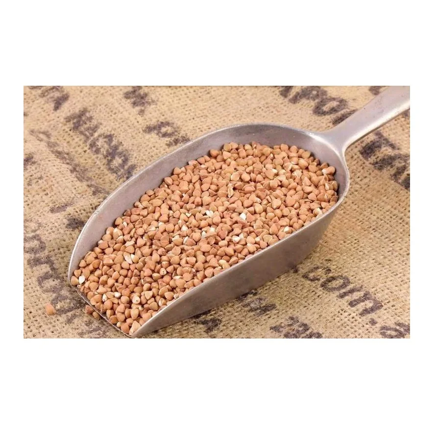 Best Quality Roasted Buckwheat For Sale In Cheap Price Wholesale Roasted Buckwheat