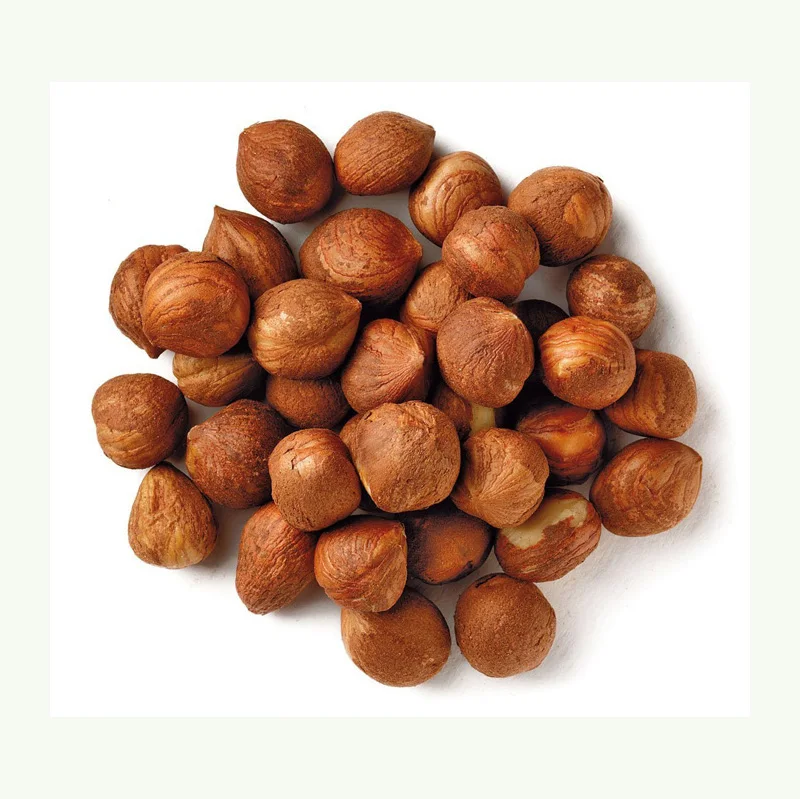 Organic Raw Hazelnuts in Bulk Wholesale Cheap Price Dried and Blanched for Food Use Box Packaging Available
