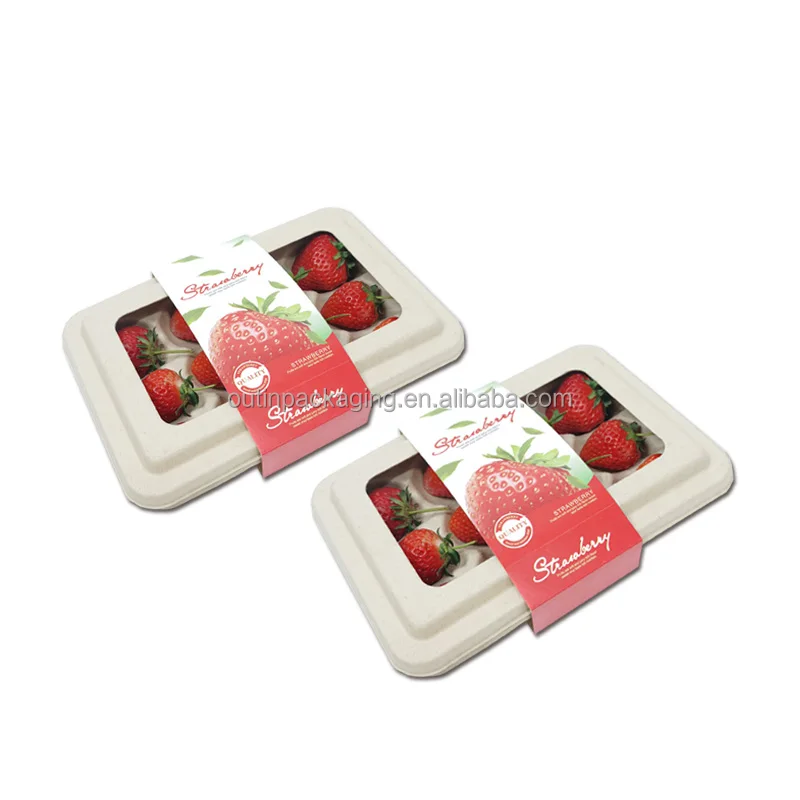 Переработанное биоразлагаемое волокно из жома сахарного тростника Экологически чистая формовочная упаковка Компостируемый лоток для фруктов и овощей