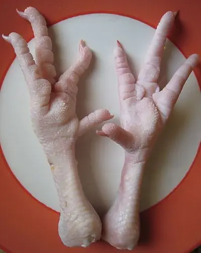 Frozen Chicken Feet Quarter Chicken Leg chicken breast bulk sellers