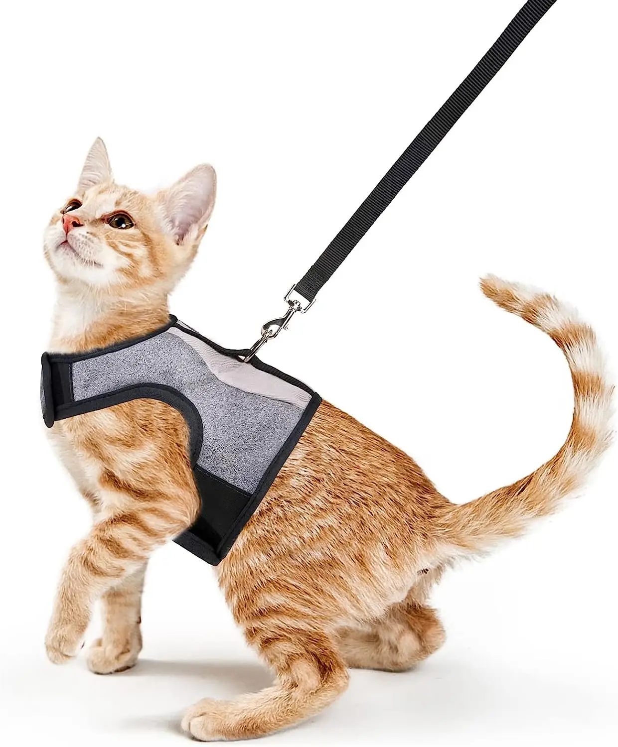 Cute Fruit Dog Clothes for Small Dogs hoodies Warm Fleece Pet Clothing Puppy Cat Costume Coat