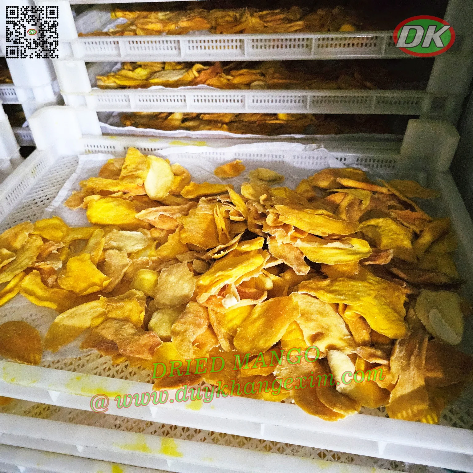 Exporter Cheap @SOFT DRIED MANGO - DK EXIM (Whatsapp +84 769 026 486)