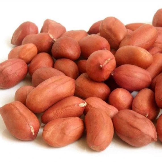 Red peanut,blanched peanut kernels,Bold PeanutsBlanched Peanuts Java Peanuts/ Raw Peanuts Kernel / Raw Peanut in Shell