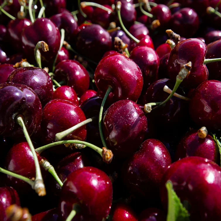 Top Quality Fresh Cherry Natural Sweet Fresh Fruits Cherries for Sale at Cheapest Wholesale Price