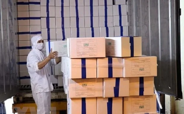 Viet Nam vanamei shrimp frozen seafood whole sale