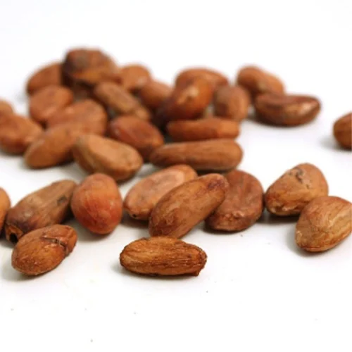 Quality Raw Dried Cocoa/High Quality Ghana  Cocoa Beans - Cacao Beans - Chocolate factory price
