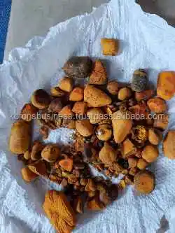 Ox-Cow-Gallstones7.jpg