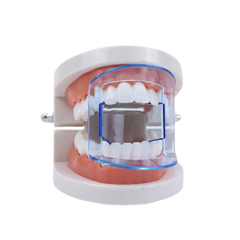 Intraoral Cheek Retractor Lip Mouth Opener Tooth Whitening for Anterior/Posterior