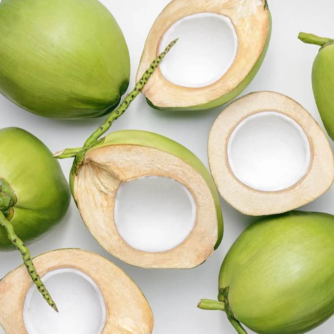 High Quality Fresh Young Coconut Water From Vietnam | V.A.F Vietnam Agriculture Food