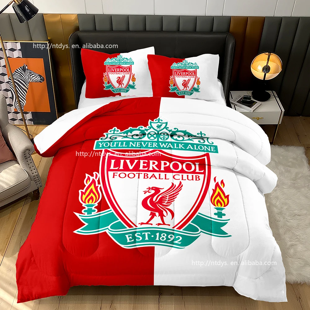 Made in China 3D Printing quilting soft winter quilt core customizable ball Football Club logo quilt