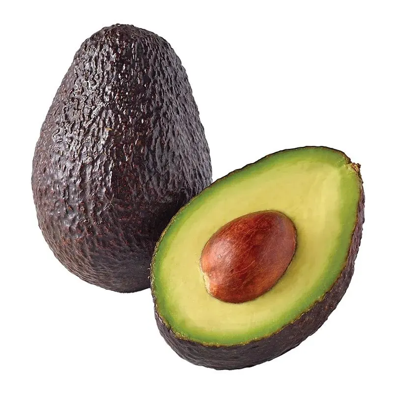 Best seller kenya Hass Avocado -Delivery world fresh Hass Avocado at cheap price