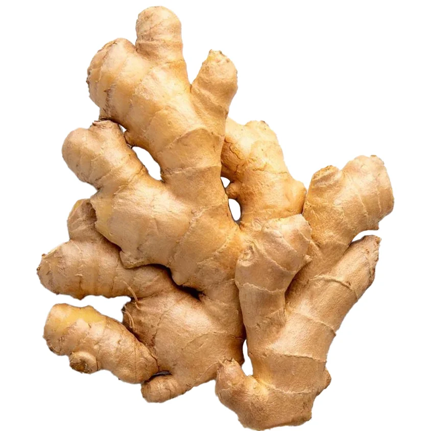 Ready to Export Fresh Ginger Best Price Big Size Fresh Ginger OEM Service Quick Delivery from Vietnam