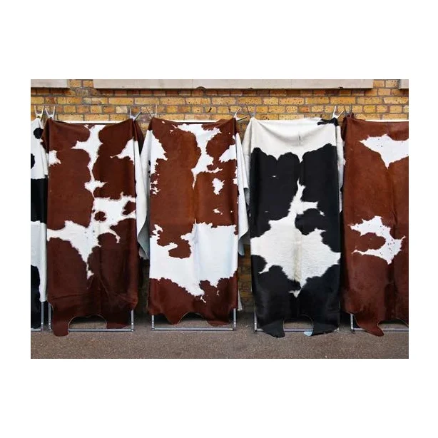 Wholesale Price Supplier of Raw Wet Salted and Dried Cow Hides / Skins Bulk Stock With Fast Shipping