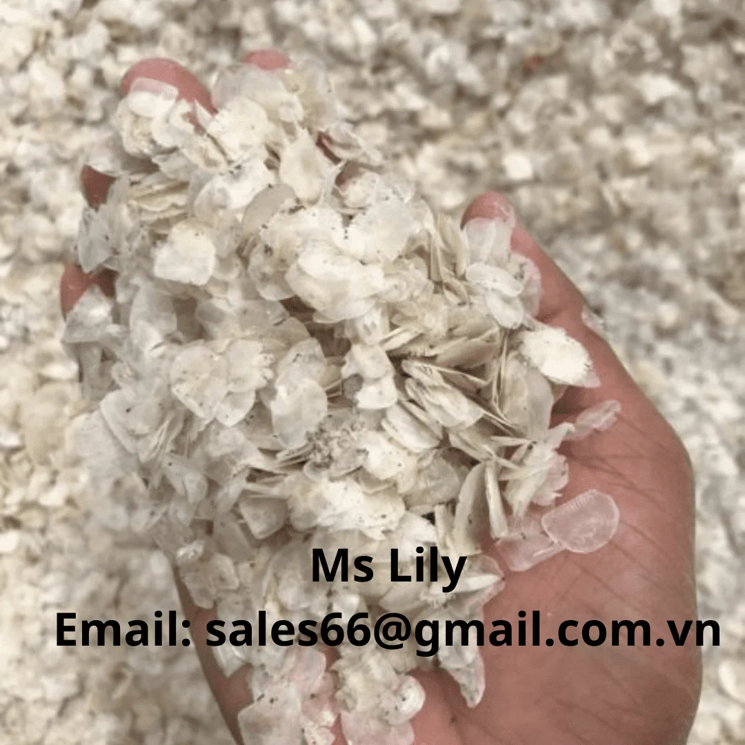 Sea Bass Fish Scales - Premium Quality Fish Scales From Vietnam - wholesale raw fish scales// Ms Lily +84 906927736