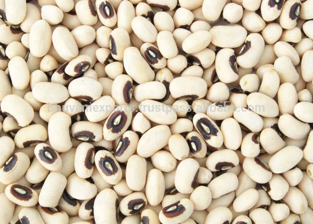 Factory Direct Sale Black Eyed Beans Grains Top Selling Black Eyed Beans Grains / White Kidney Supplier From India