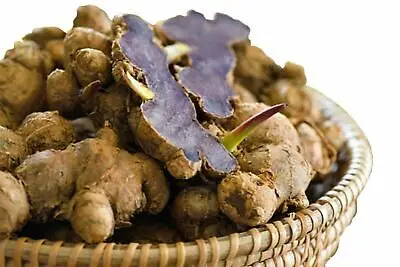 Top-Quality Organic best price hot sell free sample Thai black Ginger