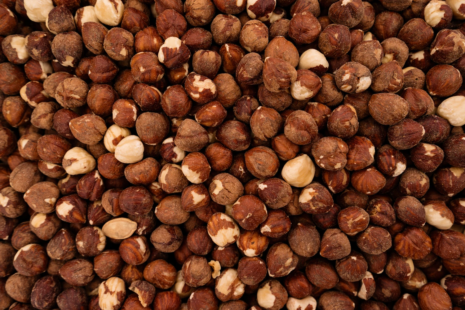 High Quality Sicilian Shelled Hazelnut - Nuts Roasted and Salted - Organic No Additives
