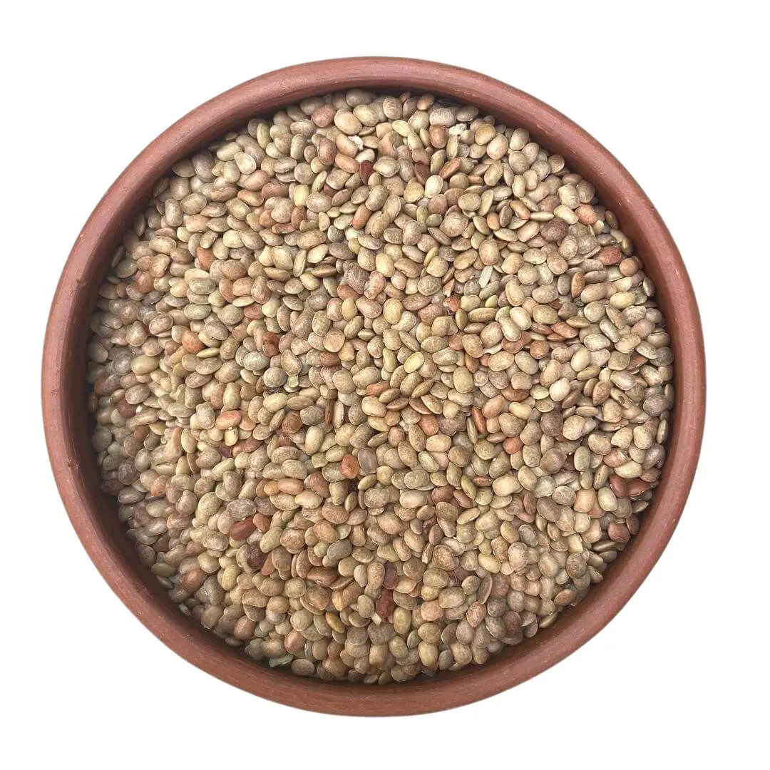 Natural Grade Organic Horse Gram Hot Sale Factory Price Horse Gram Finger Supplier From India