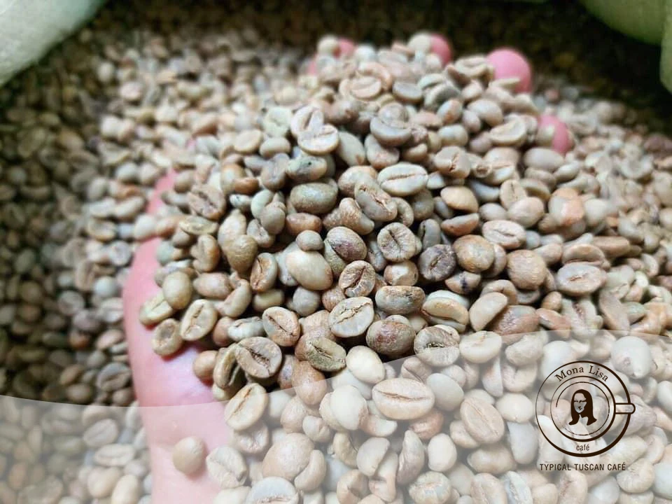 Оптовая продажа высококачественные вьетнамские зеленые кофейные зерна robusta жареные в джутовом пакете 60 кг