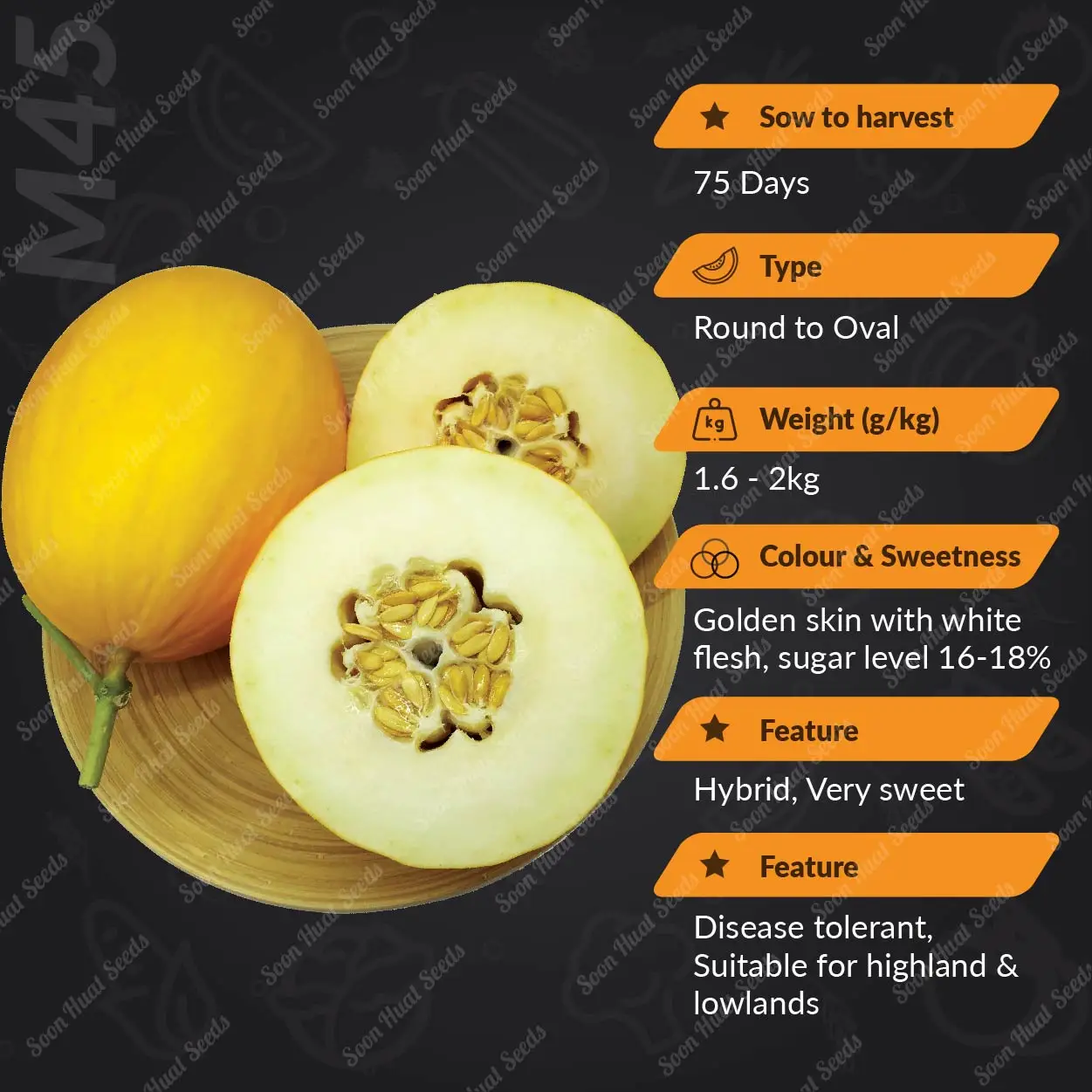 Factory Price Premium Quality Good Grade Fresh Fruits Golden Lady Melon Organics Freshness and High Sweet Malaysia Manufacturing