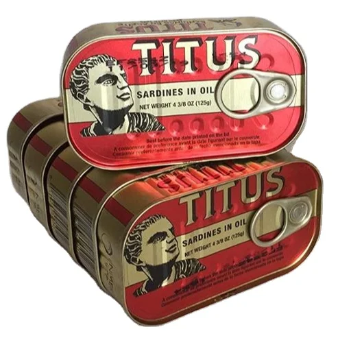 best Canned Sardines in Tomato Sauce 155g
