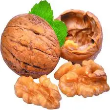 organic walnuts Wholesale  Raw 100% Natural Walnut Nutritious Fresh Quality Assurance Food Walnuts