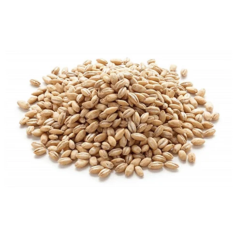 Ржаная пища/корм, зерно ржаной пищи Премиум-качества, в наличии на складе