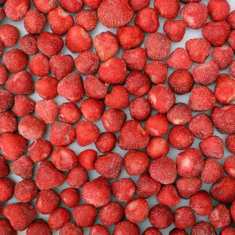 High quality juicy texture fully ripe dessert sweet fresh strawberry export