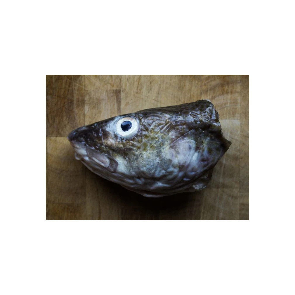 Frozen Cod Heads 100% Export Quality Salmon Fish