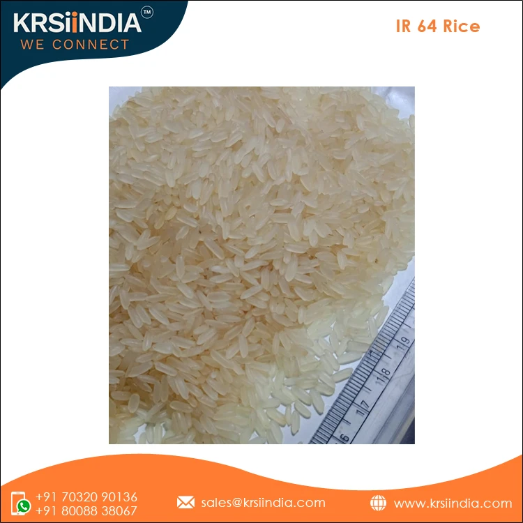 Indian Medium Grain 5% Broken White High Quality Brand IR 64 Rice from Best Rice Manufacturing Company