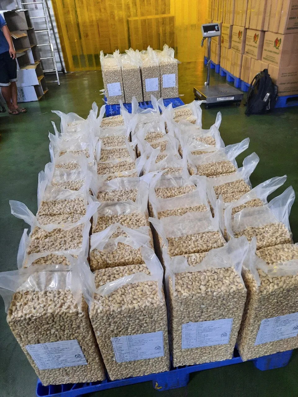 Vietnam Fresh Dried Processed CASHEW NUTS KERNELS in WW240 W240 W320 AFI Vacuum Bags for Food Applications  - ANNA DO